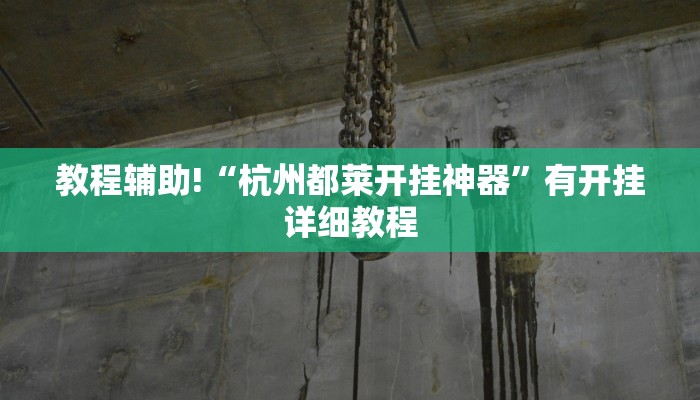 教程辅助“微乐三丁拐辅助”(透视)其实确实有挂
