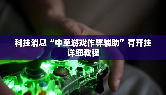 教程辅助!“微乐陕西挖坑开挂器”2025开挂教程步骤