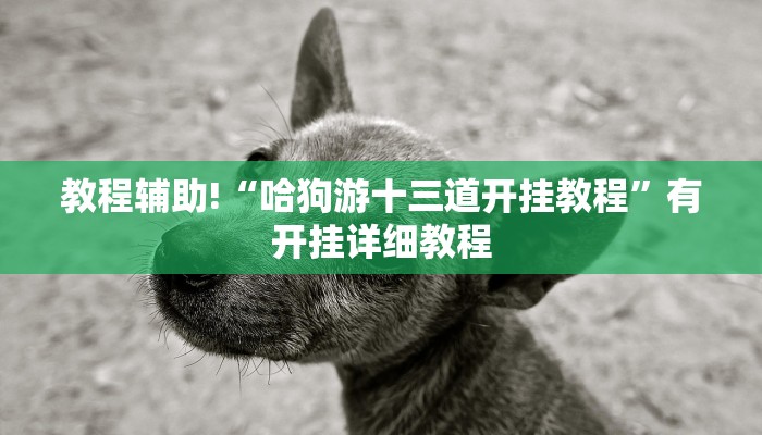 辅助神器“微乐宁夏开挂下载安装”(透视)其实确实有挂