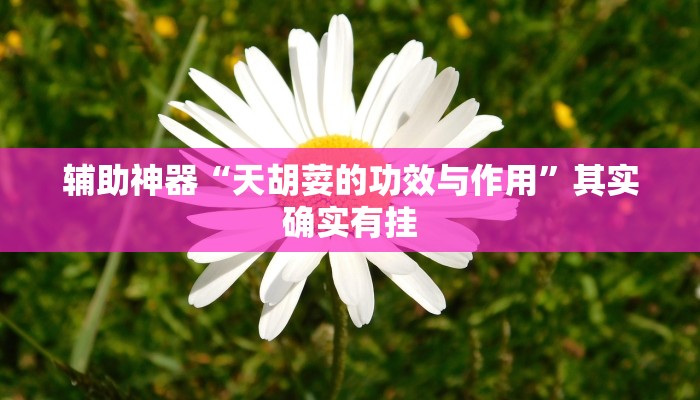 辅助神器“中至二人麻将开挂神器”(透视)其实确实有挂