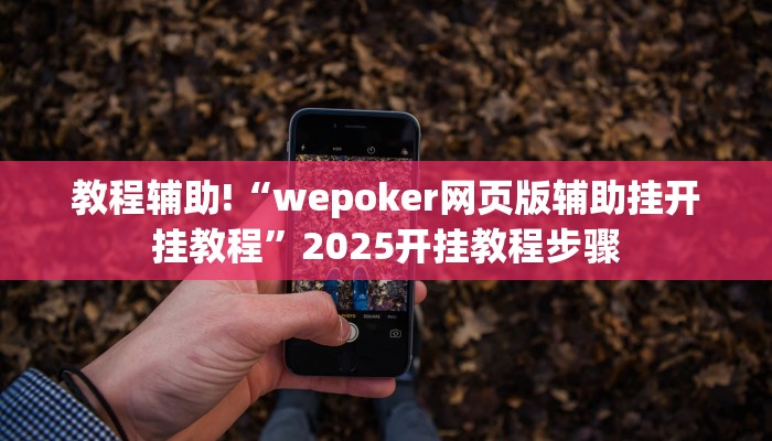 教程辅助!“wepoker网页版辅助挂开挂教程”2025开挂教程步骤