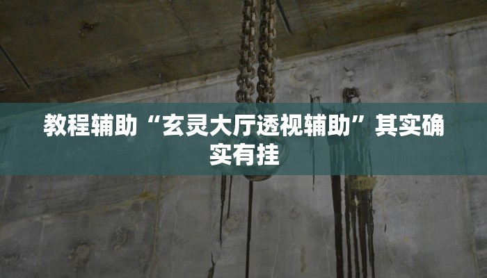 教程辅助“玄灵大厅透视辅助”其实确实有挂