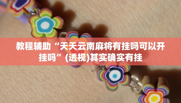 教程辅助“决战十三水开挂神器”(透视)其实确实有挂