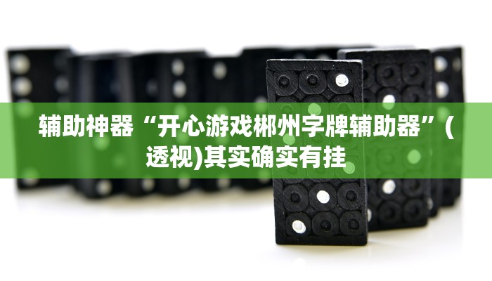 辅助神器“开心游戏郴州字牌辅助器”(透视)其实确实有挂
