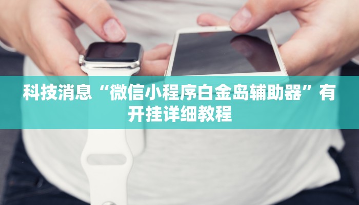 科技消息“微信小程序白金岛辅助器”有开挂详细教程