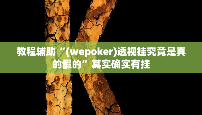 教程辅助“(wepoker)透视挂究竟是真的假的”其实确实有挂 教程辅助“(wepoker)透视挂究竟是真的假的”其实确实有挂