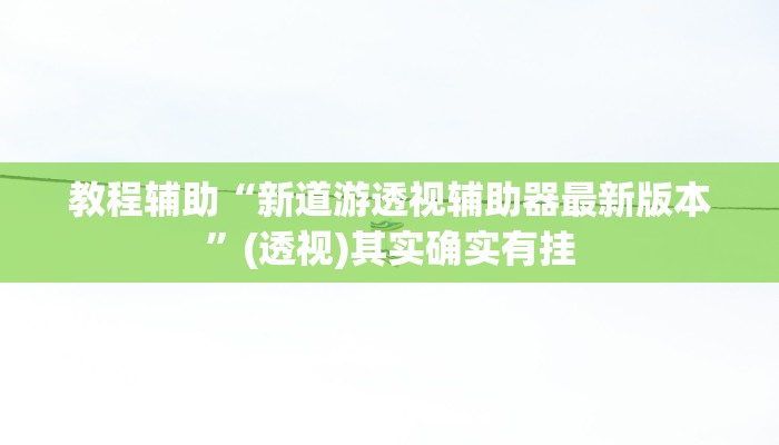 教程辅助“新道游透视辅助器最新版本”(透视)其实确实有挂