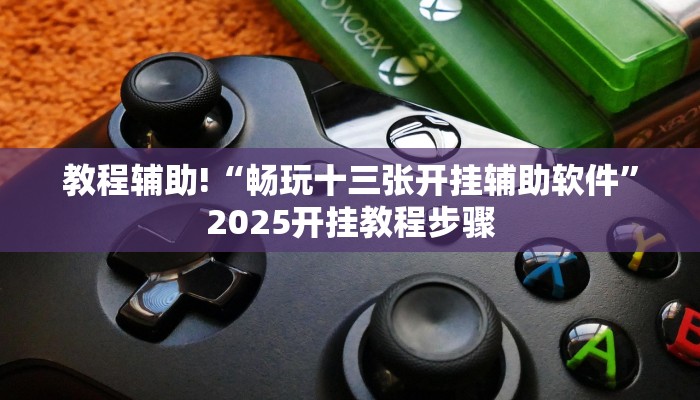 教程辅助!“畅玩十三张开挂辅助软件”2025开挂教程步骤