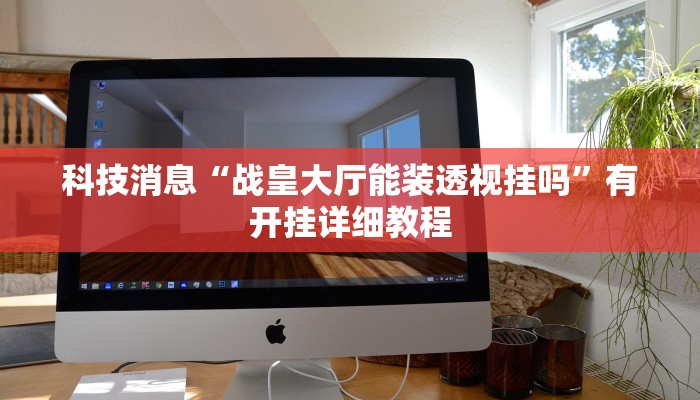 辅助神器“天天爱二十三张辅助器”(透视)其实确实有挂