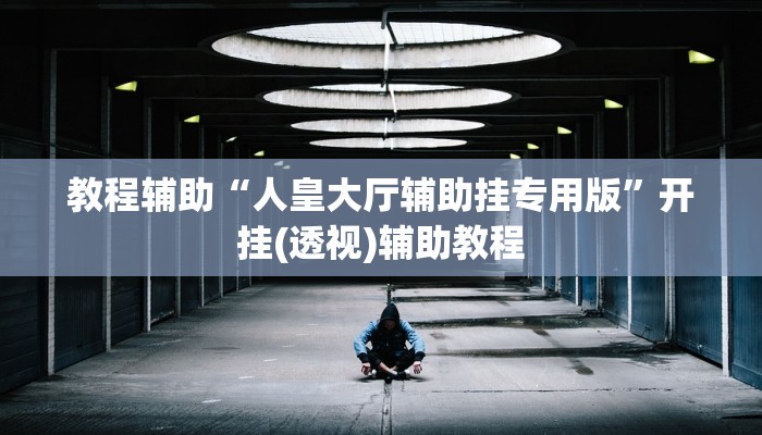 教程辅助“人皇大厅辅助挂专用版”开挂(透视)辅助教程