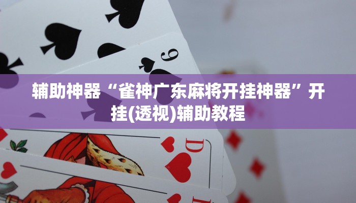 辅助神器“雀神广东麻将开挂神器”开挂(透视)辅助教程 辅助神器“雀神广东麻将开挂神器”开挂(透视)辅助教程