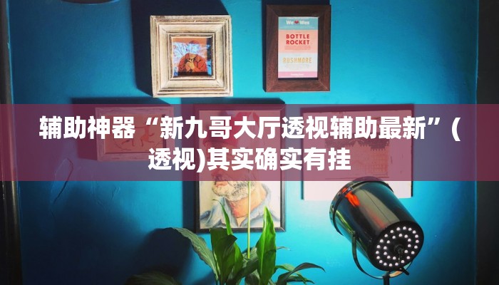 辅助神器“新九哥大厅透视辅助最新”(透视)其实确实有挂