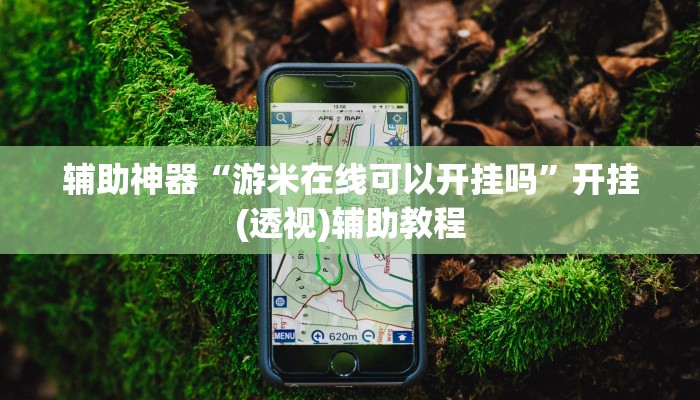 辅助神器“游米在线可以开挂吗”开挂(透视)辅助教程