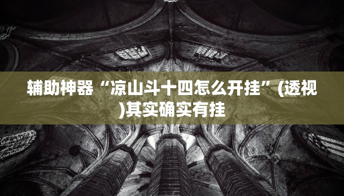 辅助神器“凉山斗十四怎么开挂”(透视)其实确实有挂