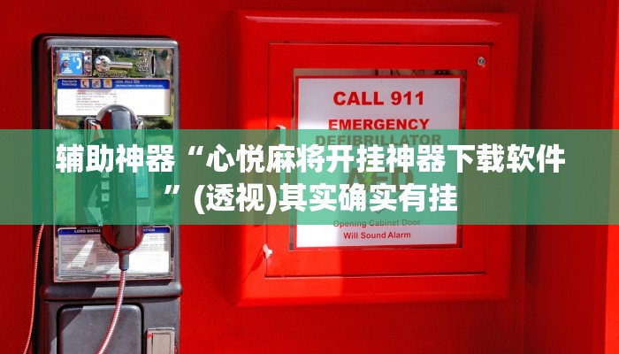 辅助神器“心悦麻将开挂神器下载软件”(透视)其实确实有挂 辅助神器“心悦麻将开挂神器下载软件”(透视)其实确实有挂