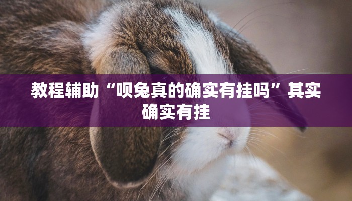 教程辅助“呗兔真的确实有挂吗”其实确实有挂 教程辅助“呗兔真的确实有挂吗”其实确实有挂