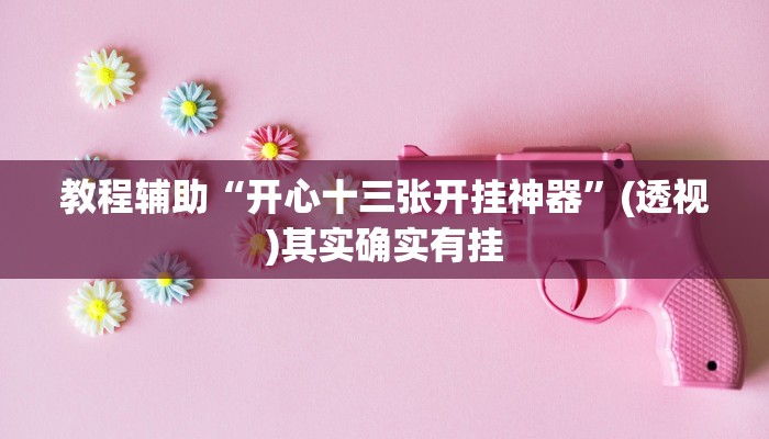 教程辅助“开心十三张开挂神器”(透视)其实确实有挂