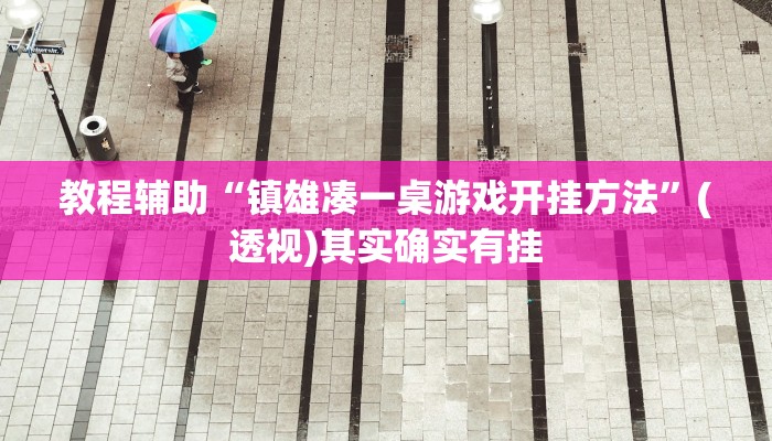教程辅助“镇雄凑一桌游戏开挂方法”(透视)其实确实有挂