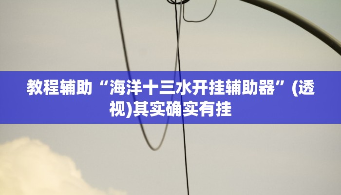 教程辅助“海洋十三水开挂辅助器”(透视)其实确实有挂
