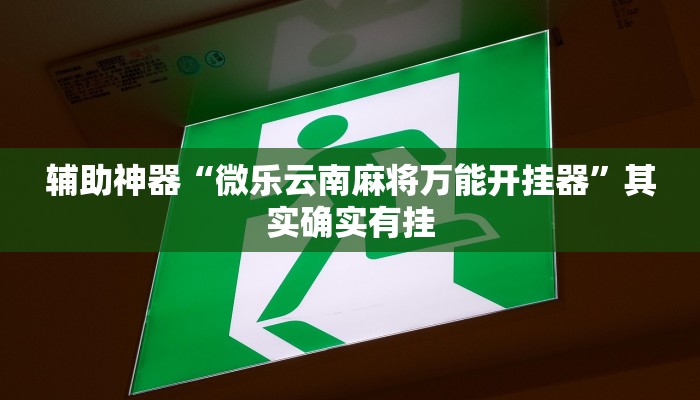 辅助神器“微乐云南麻将万能开挂器”其实确实有挂