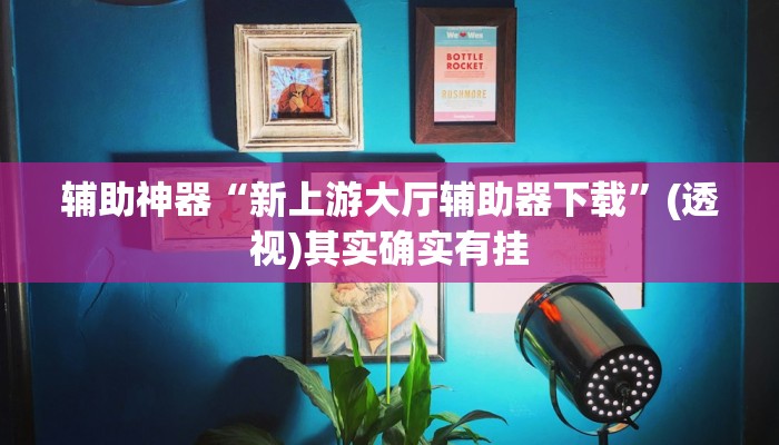 辅助神器“新上游大厅辅助器下载”(透视)其实确实有挂