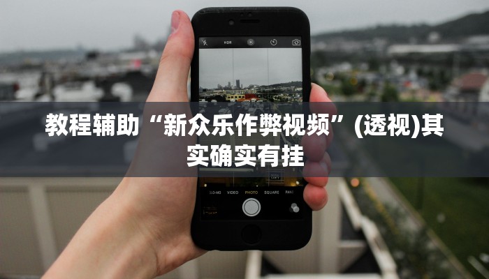 教程辅助“新众乐作弊视频”(透视)其实确实有挂