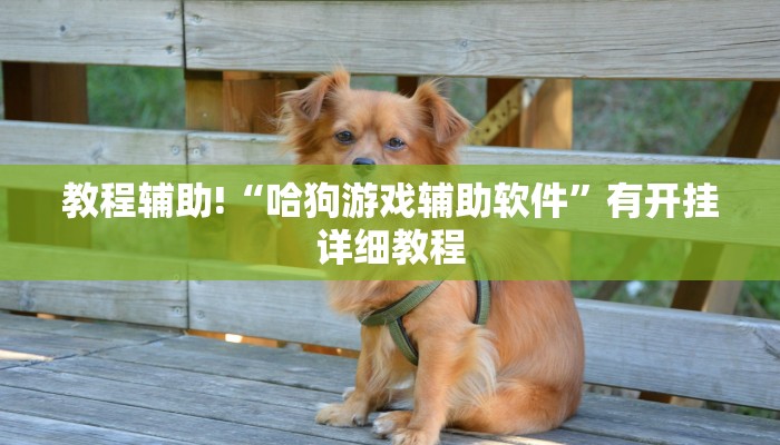 教程辅助!“哈狗游戏辅助软件”有开挂详细教程 教程辅助!“哈狗游戏辅助软件”有开挂详细教程