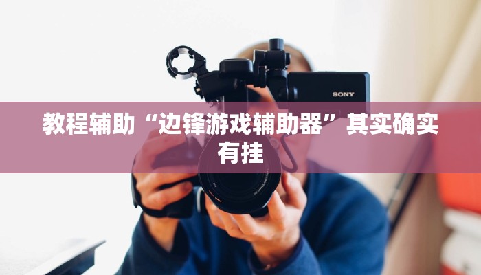 教程辅助“边锋游戏辅助器”其实确实有挂