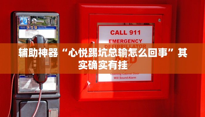 辅助神器“心悦踢坑总输怎么回事”其实确实有挂 辅助神器“心悦踢坑总输怎么回事”其实确实有挂